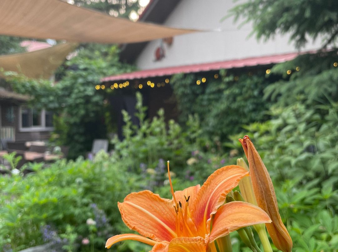 Laughing Horse Lodge主图