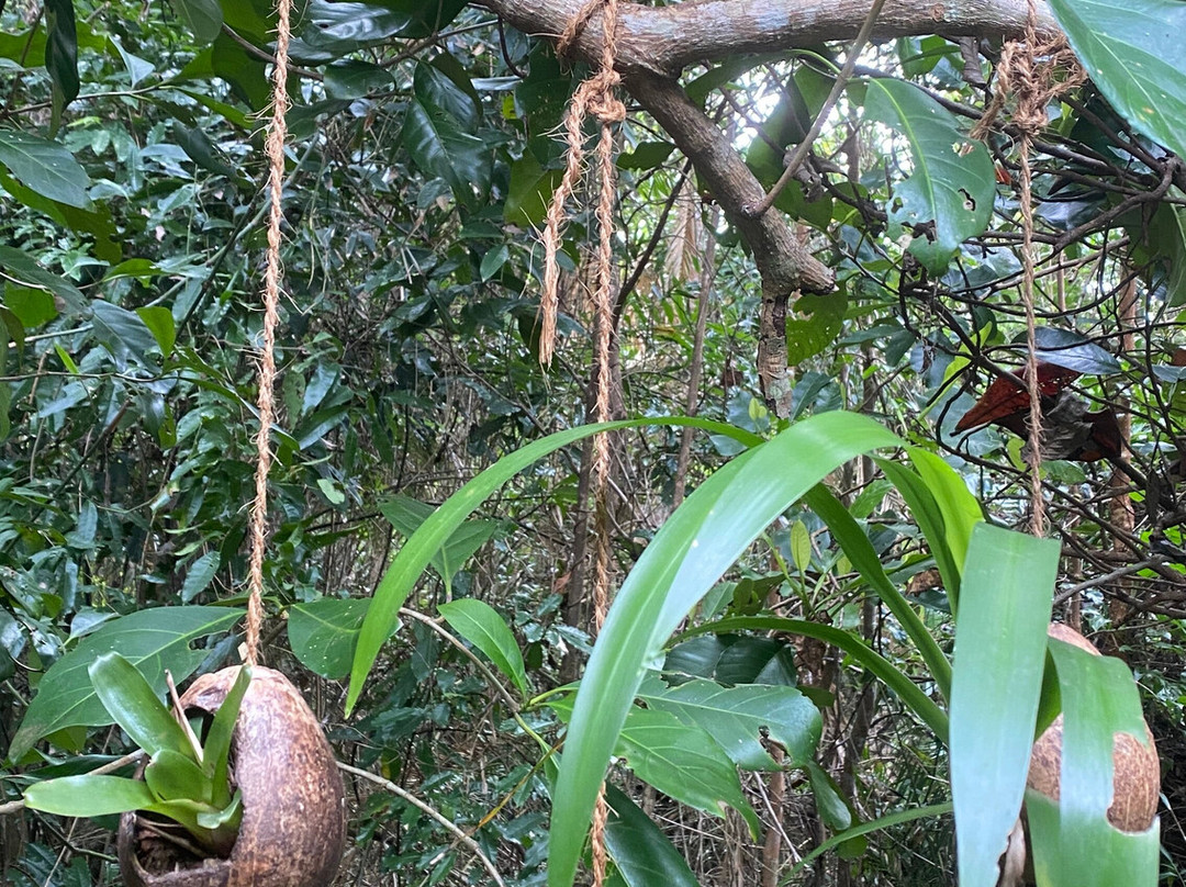 Thornton Beach Bungalows主图