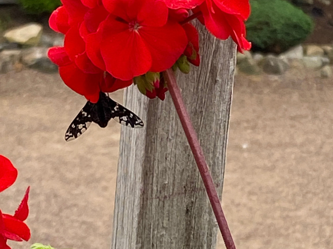 Taber Inn And Suites主图