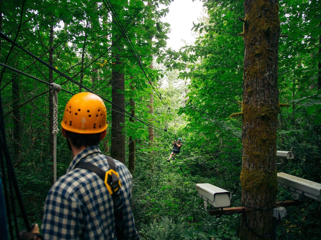 Pumpkin Ridge Zip Tour-North Plains必去景点