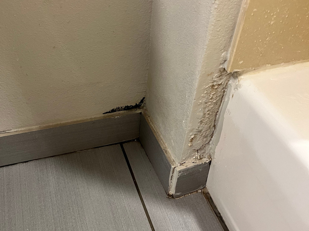 Best Western Plus Pauls Valley主图