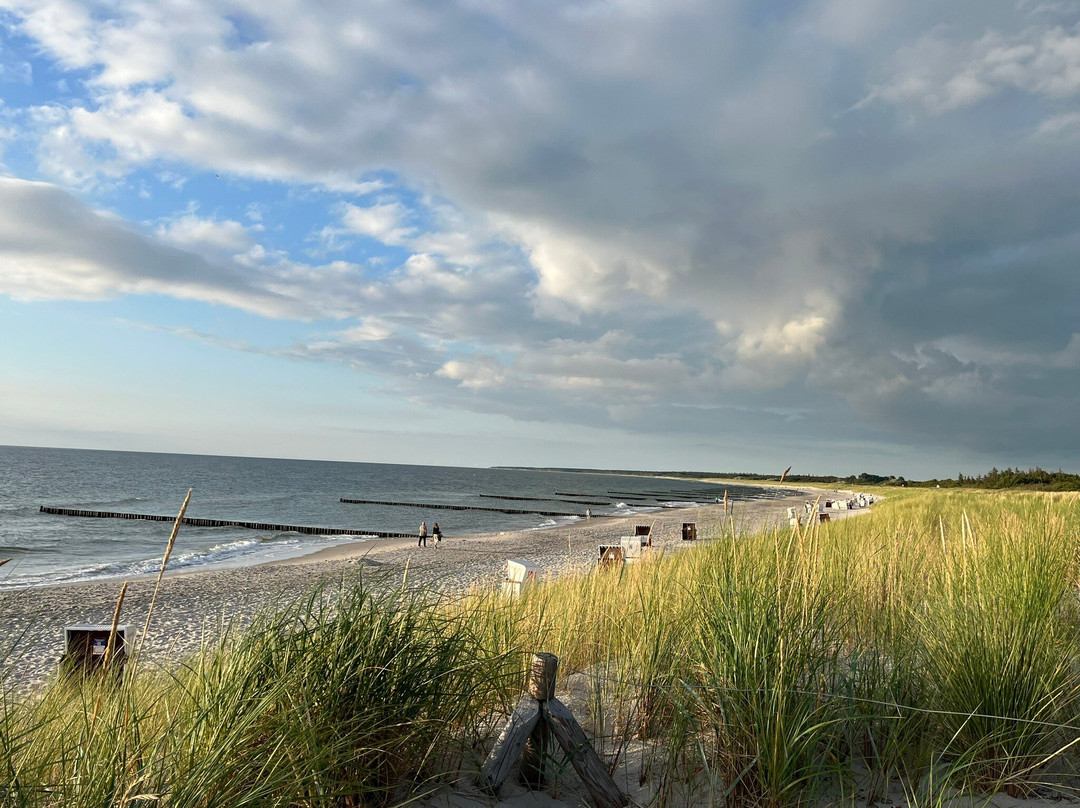 Strandhaus Ahrenshoop主图