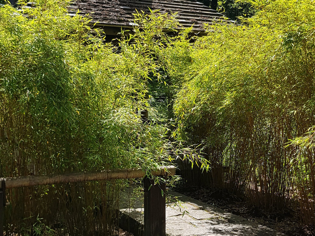 Ronneby Brunnspark-Ronneby必去景点