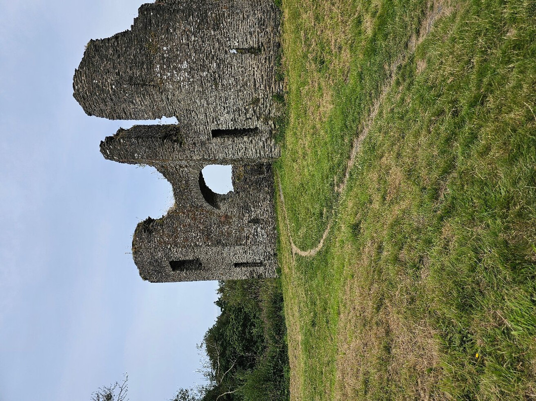 Newcastle Emlyn Castle景点图片