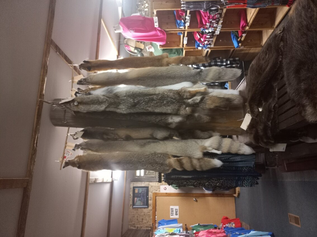 Young's General Store-Wawa必去景点