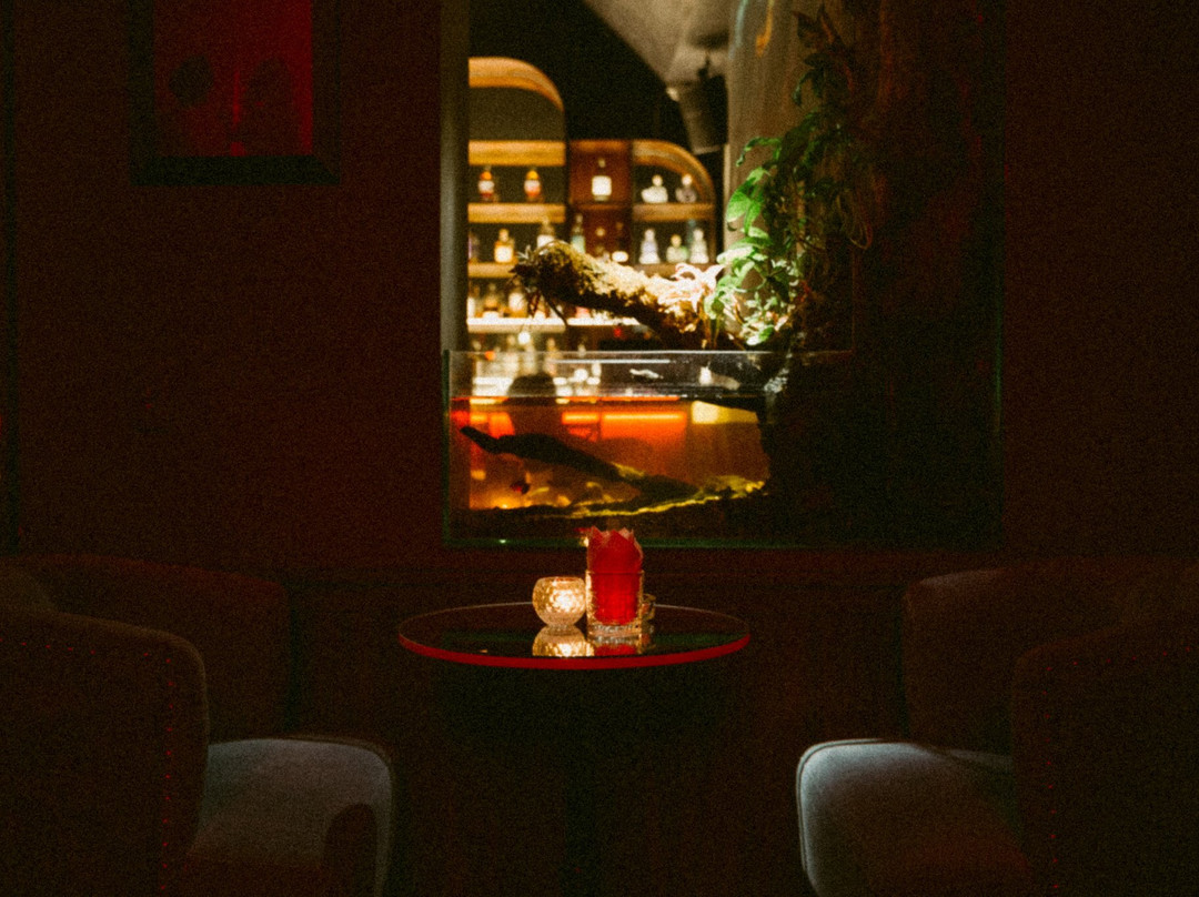 9luv Cocktail & Wine Bar