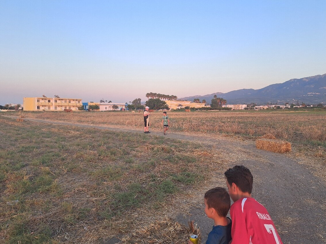 Oasis Apartments, Kos主图