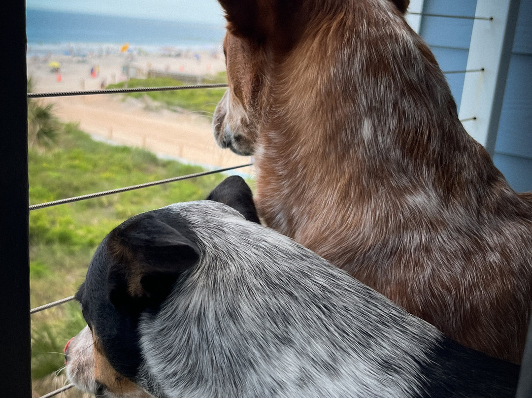 圣奥古斯丁海滩别墅主图