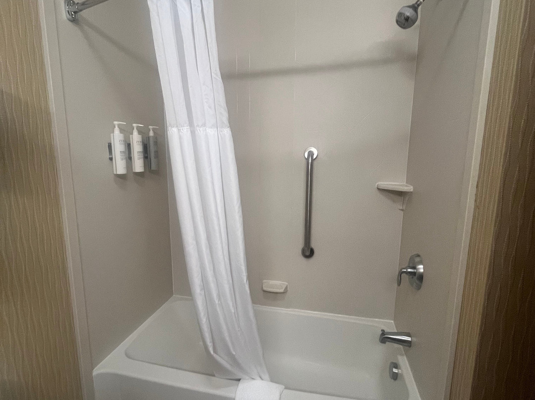 Hampton Inn & Suites East Lansing/okemos主图