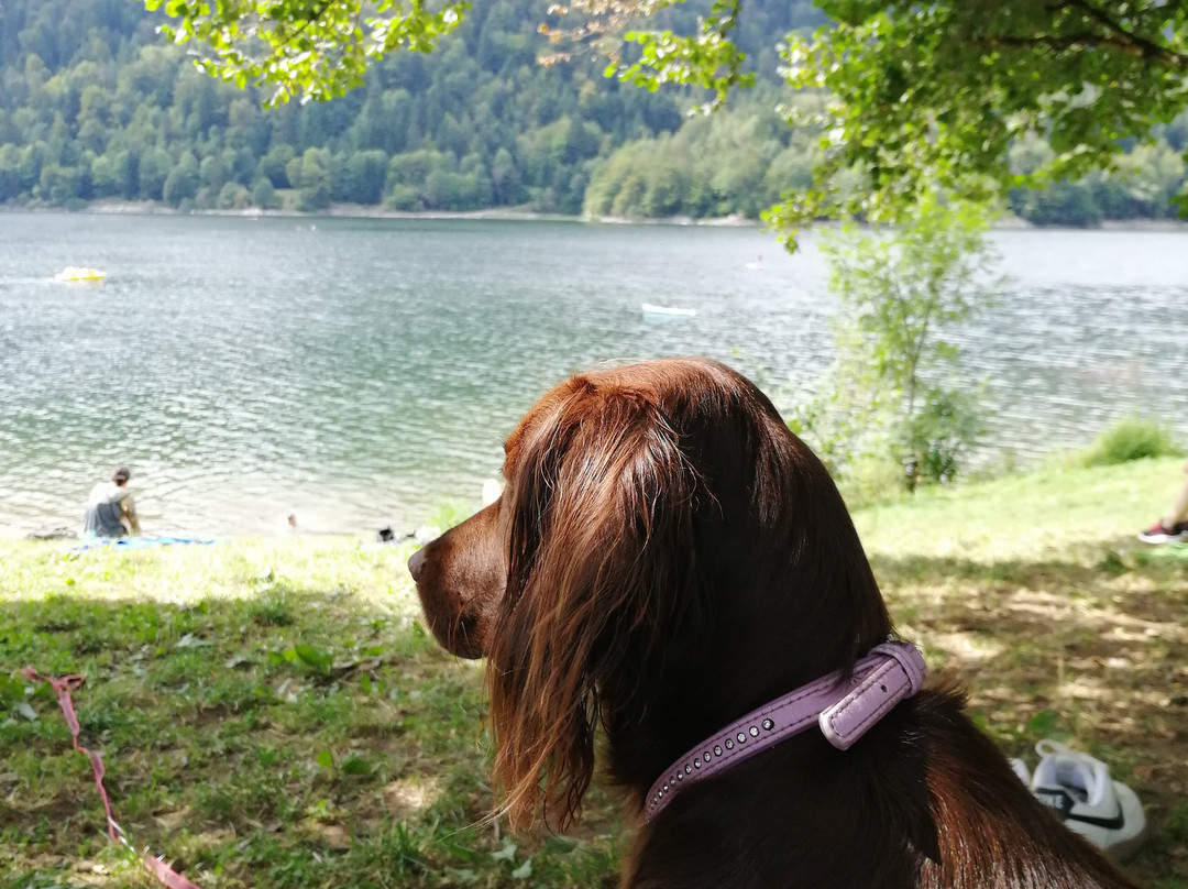 Lac de Kruth-Wildenstein-Kruth必去景点