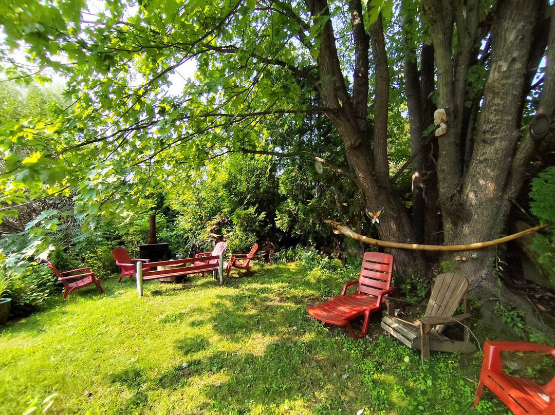 La Vieille Ecole主图