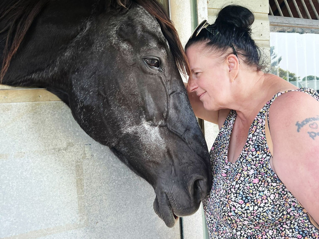 The Horse Trust景点图片