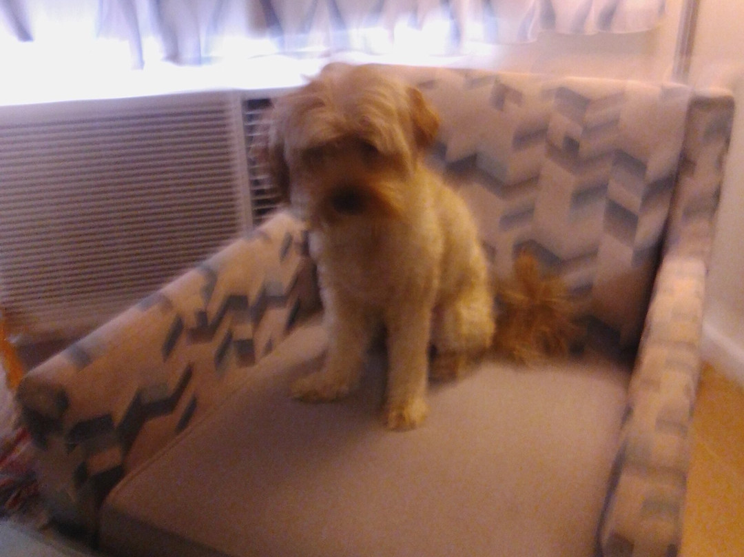 贝斯特韦斯特布尔海德城市酒店主图