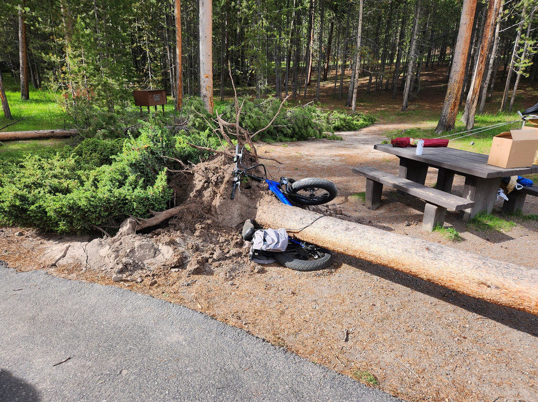 曼迪逊露营地主图