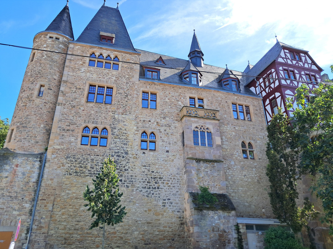 Museum der Stadt Alzey景点图片