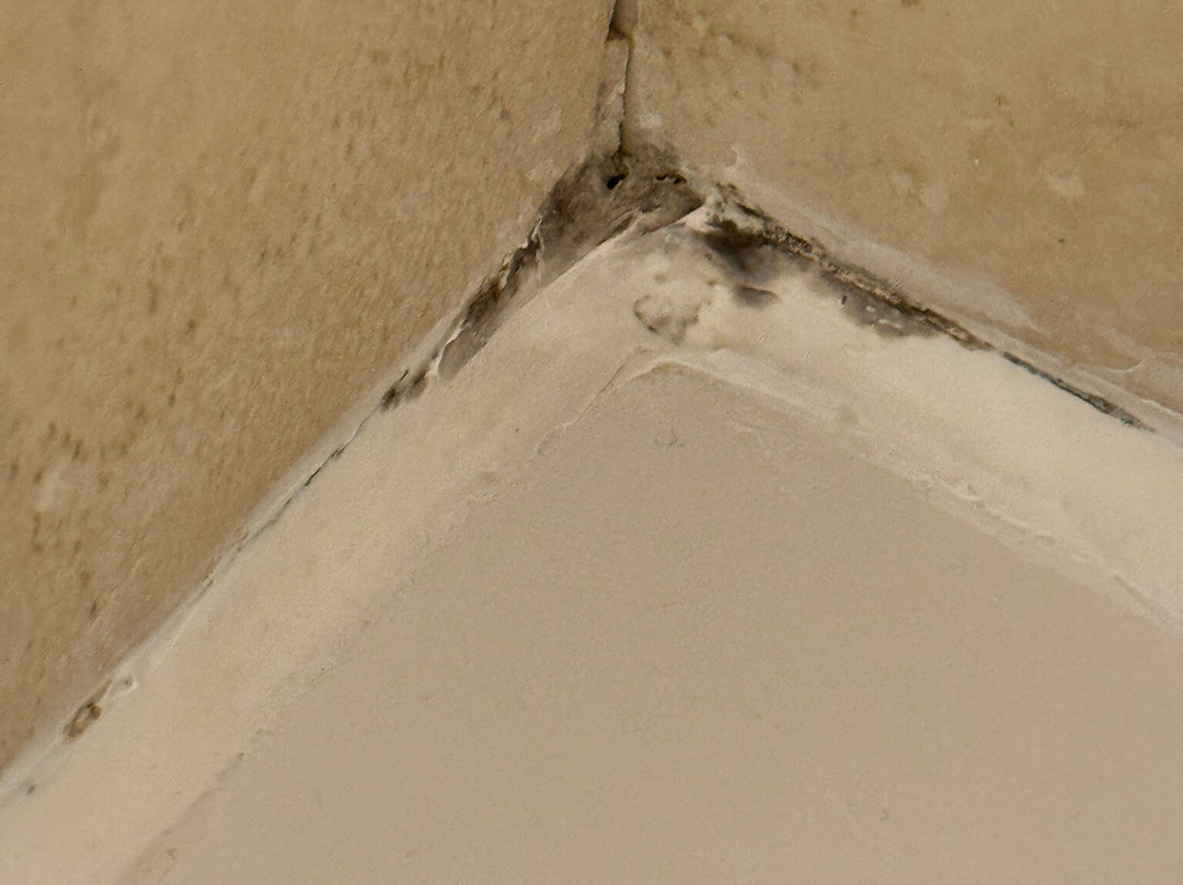 奥塔伊谷PLUS贝斯特韦斯特酒店主图