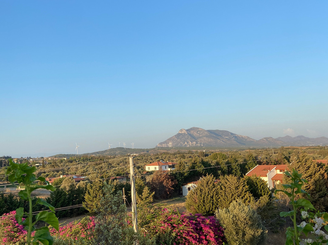 Datca Vineyard & Winery景点图片