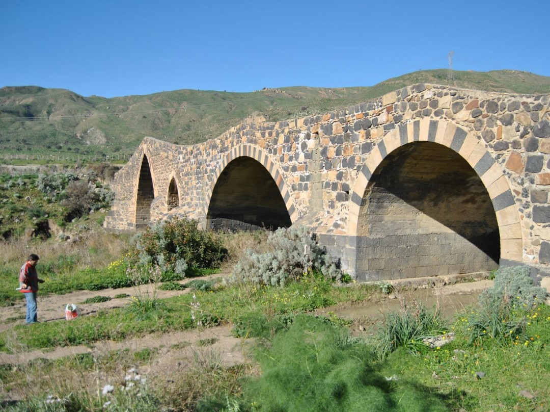 Ponte dei Saraceni景点图片