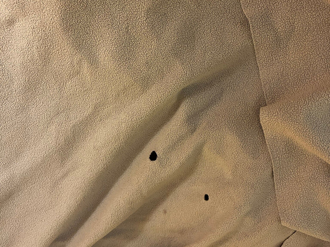 Days Inn by Wyndham Alma主图