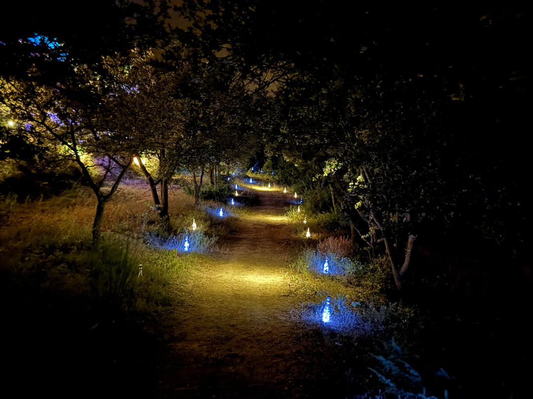 Domaine de la Bouvaude景点图片