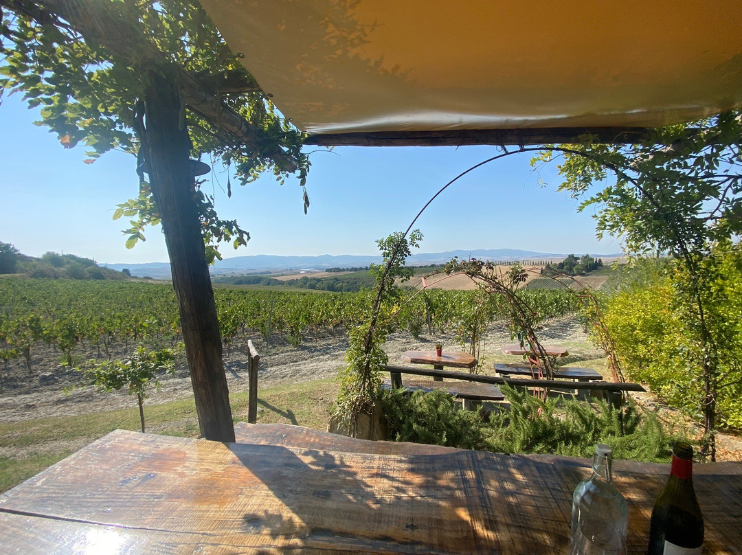 Gianni Moscardini Winery景点图片