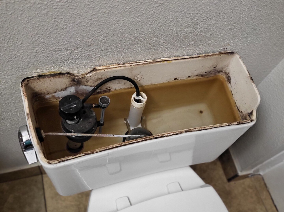 Best Western Green Valley Inn主图