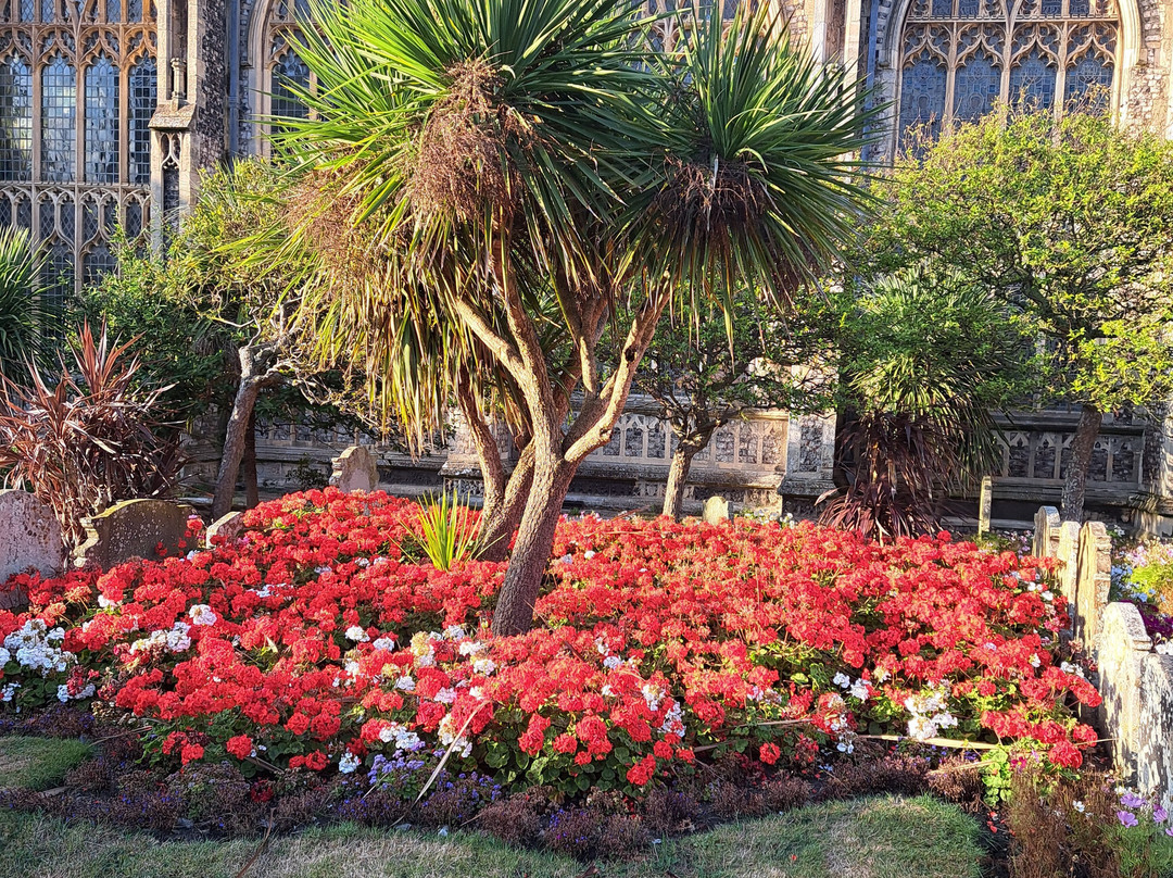 Cromer Parish Church (St Peter and St Paul)景点图片
