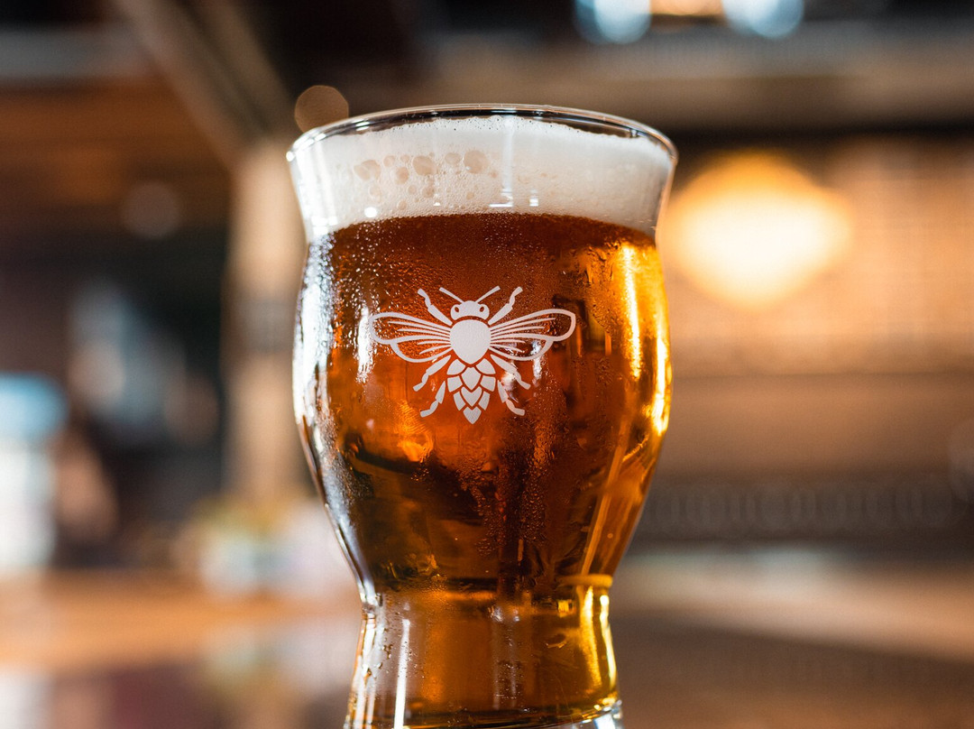 Bearded Bee Brewing Co.-Wendell必去景点