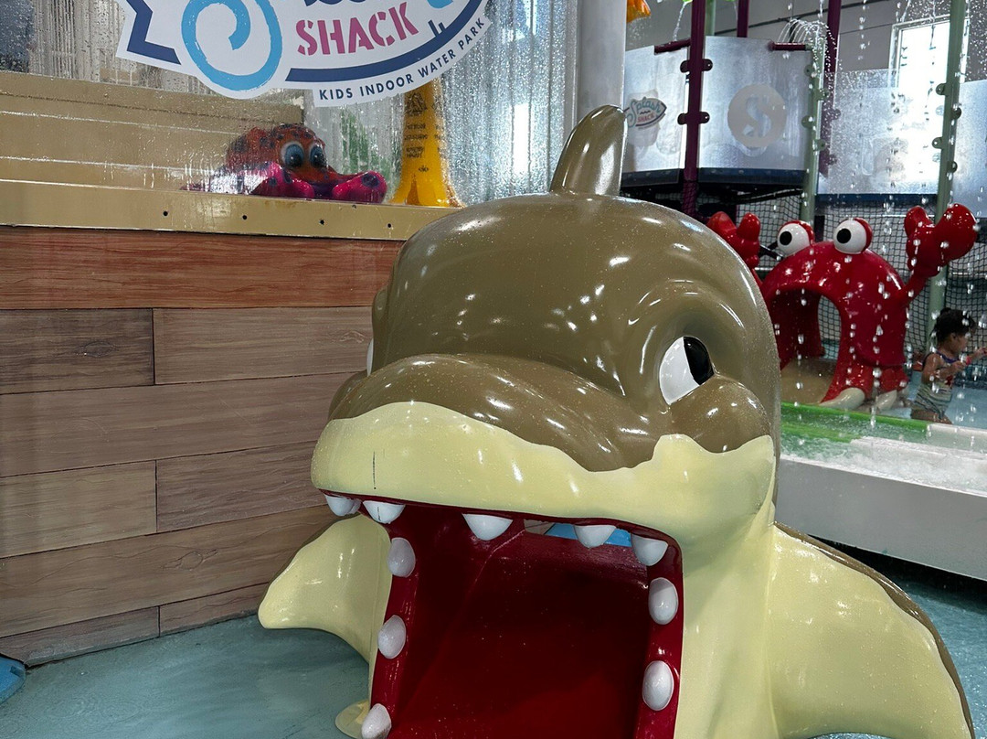 Splash Shack-斯德伯克必去景点