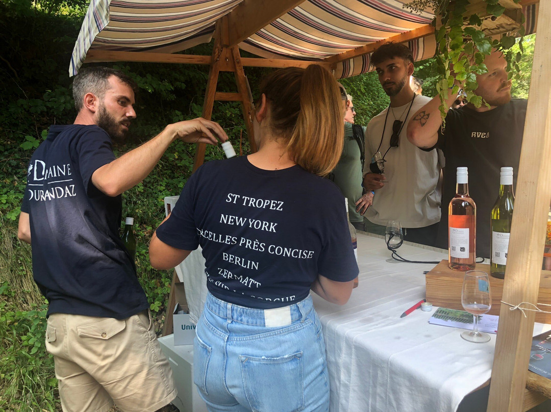 Domaine De Gourmandaz-Corcelles-Près-Concise必去景点