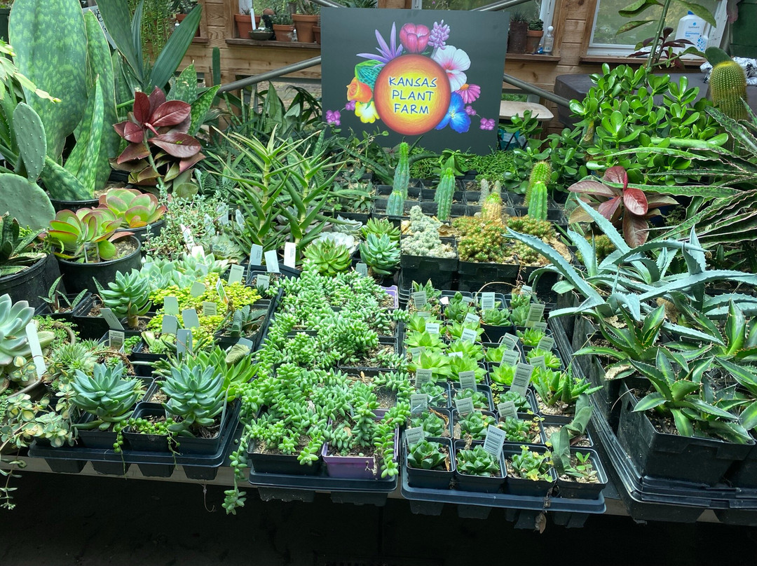 Kansas Plant Farm-劳伦斯必去景点