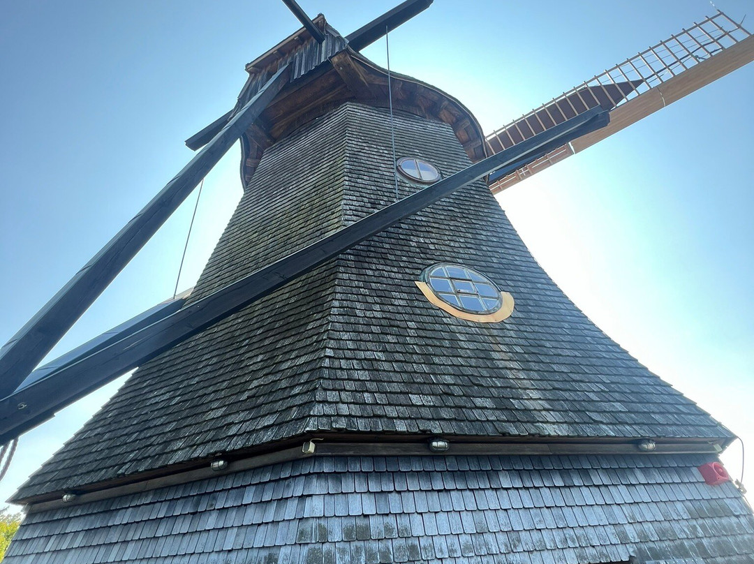 The Historic Windmill-波茨坦必去景点