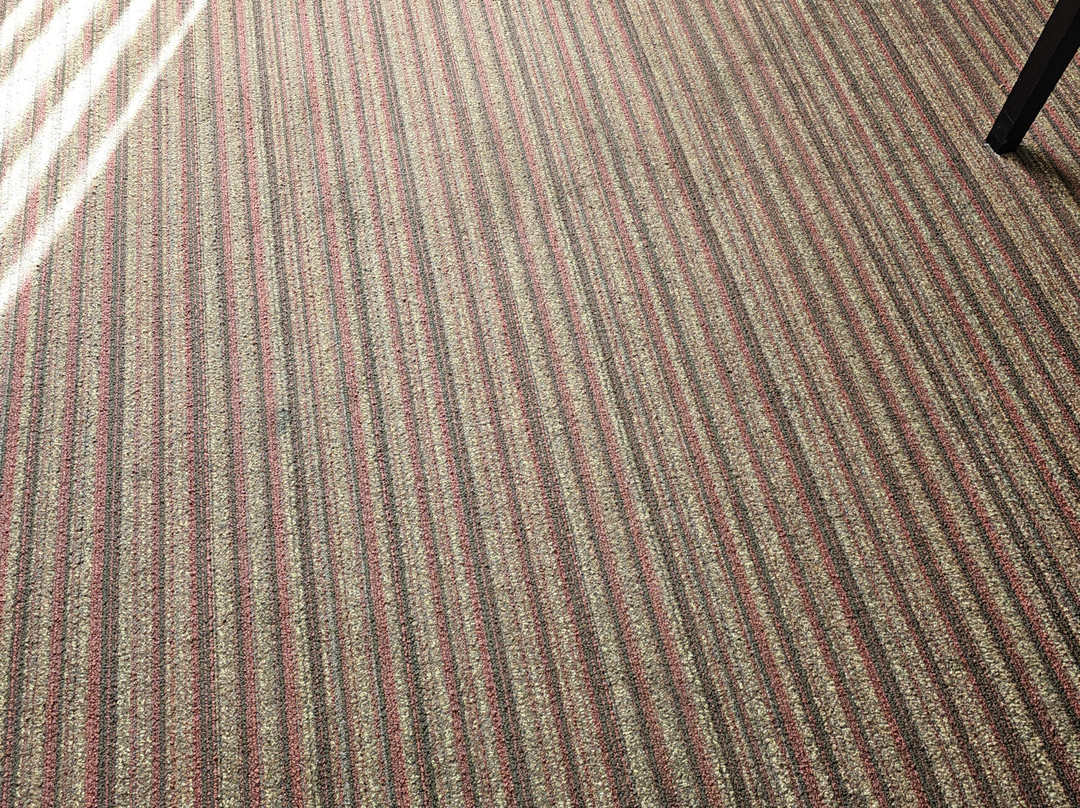 Best Western Seneca-Clemson主图