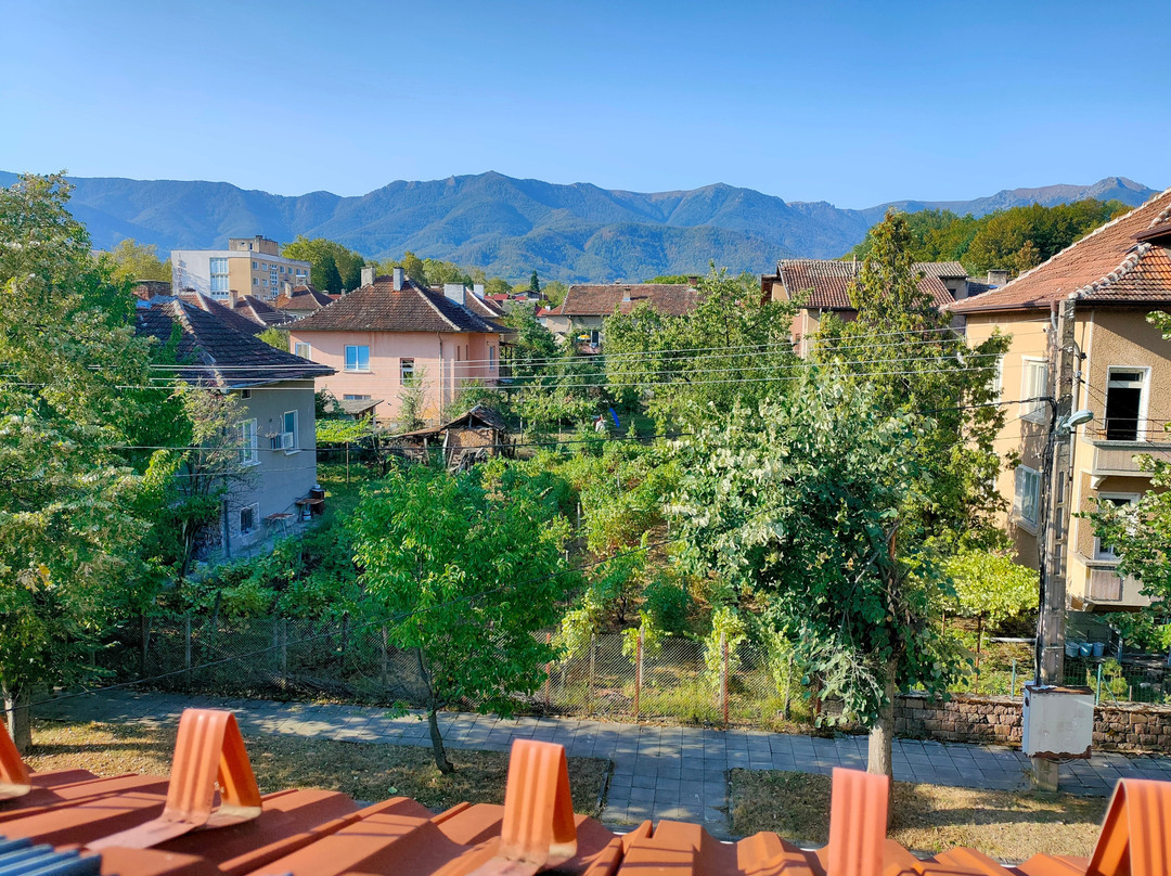 Da Vinci Guesthouse主图