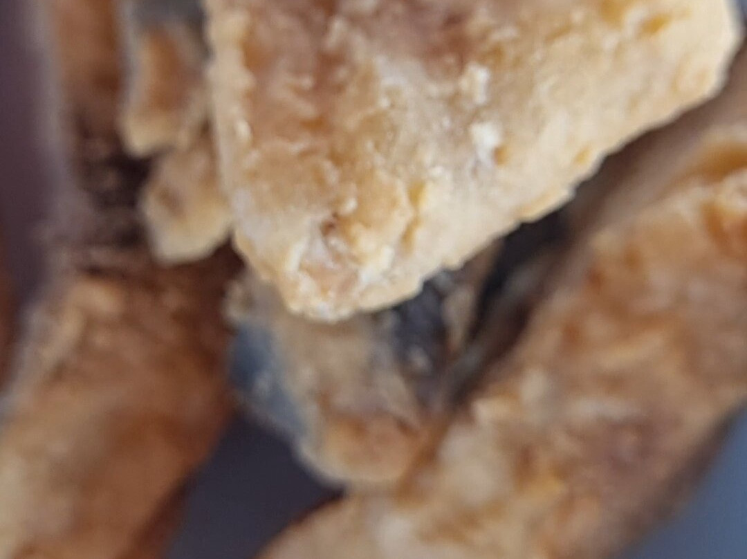 Camping e Chale do Josias主图