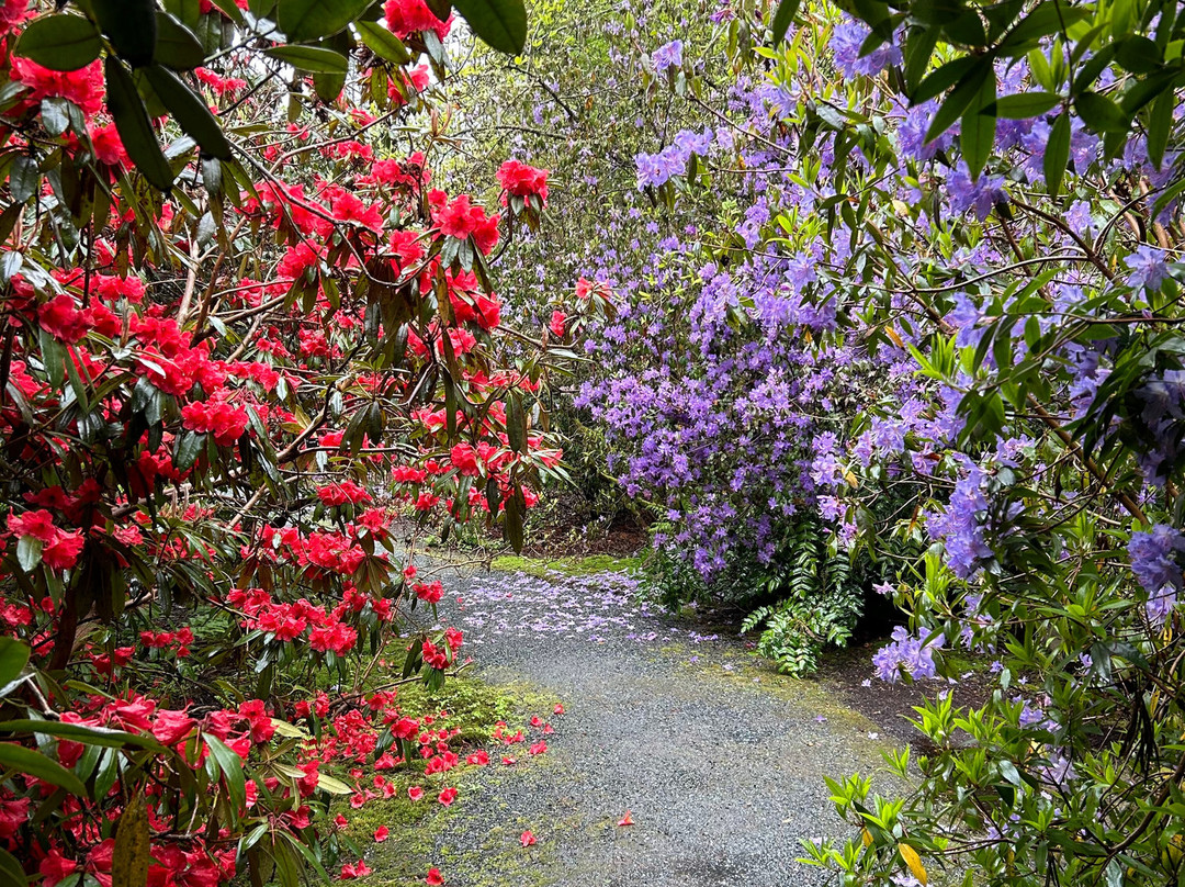 Darts Hill Garden Park-素里必去景点