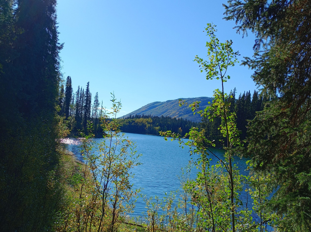 Arctic Divide Lodge主图