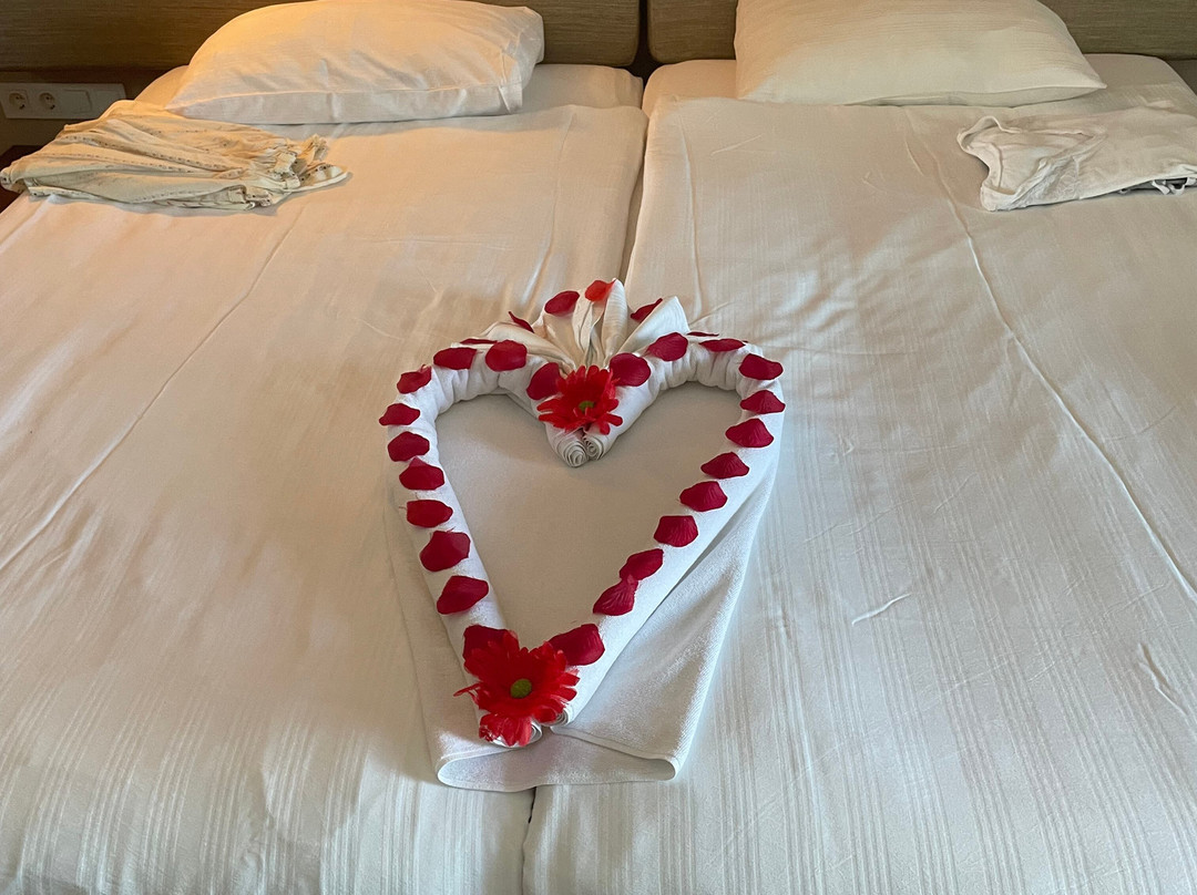 Commodore Elite Suites & Spa主图
