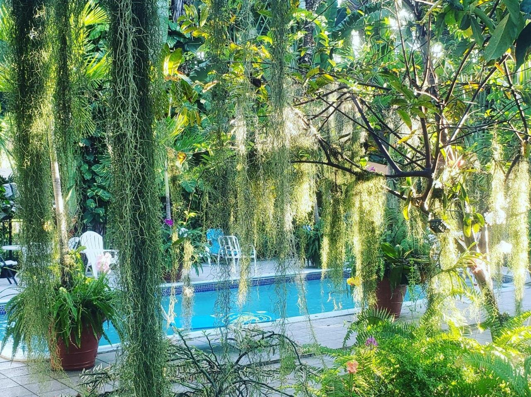 Orchid Cottage主图