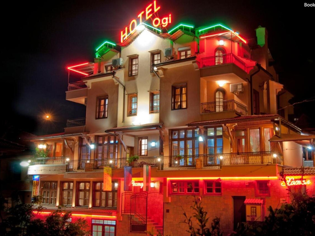Family Hotel Ogi主图
