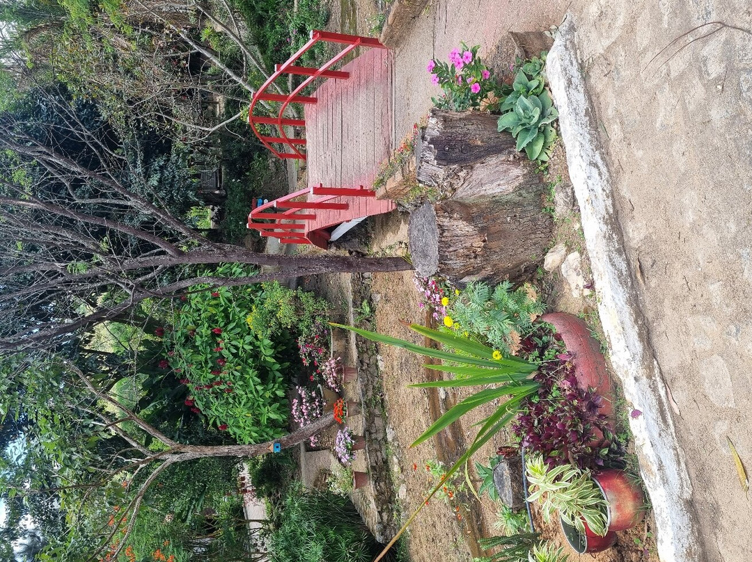 Engenho Triunfo-Areia必去景点