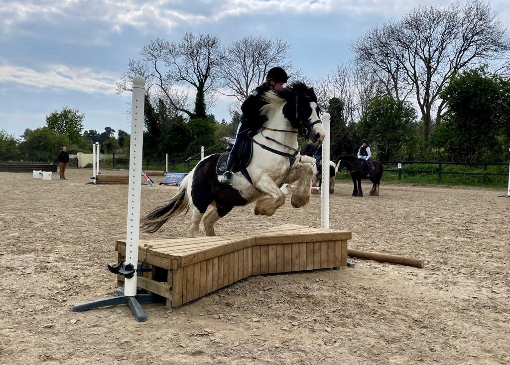 Bergin Equine-Wicklow必去景点