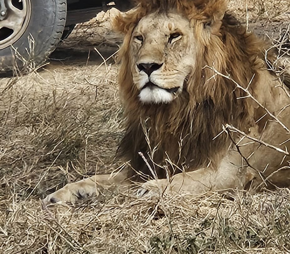 ZanTours Ltd-桑给巴尔市必去景点