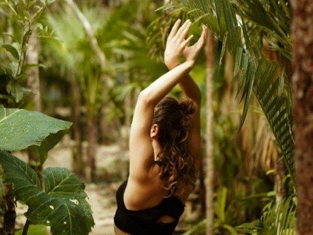 Argovia Ecolodge主图