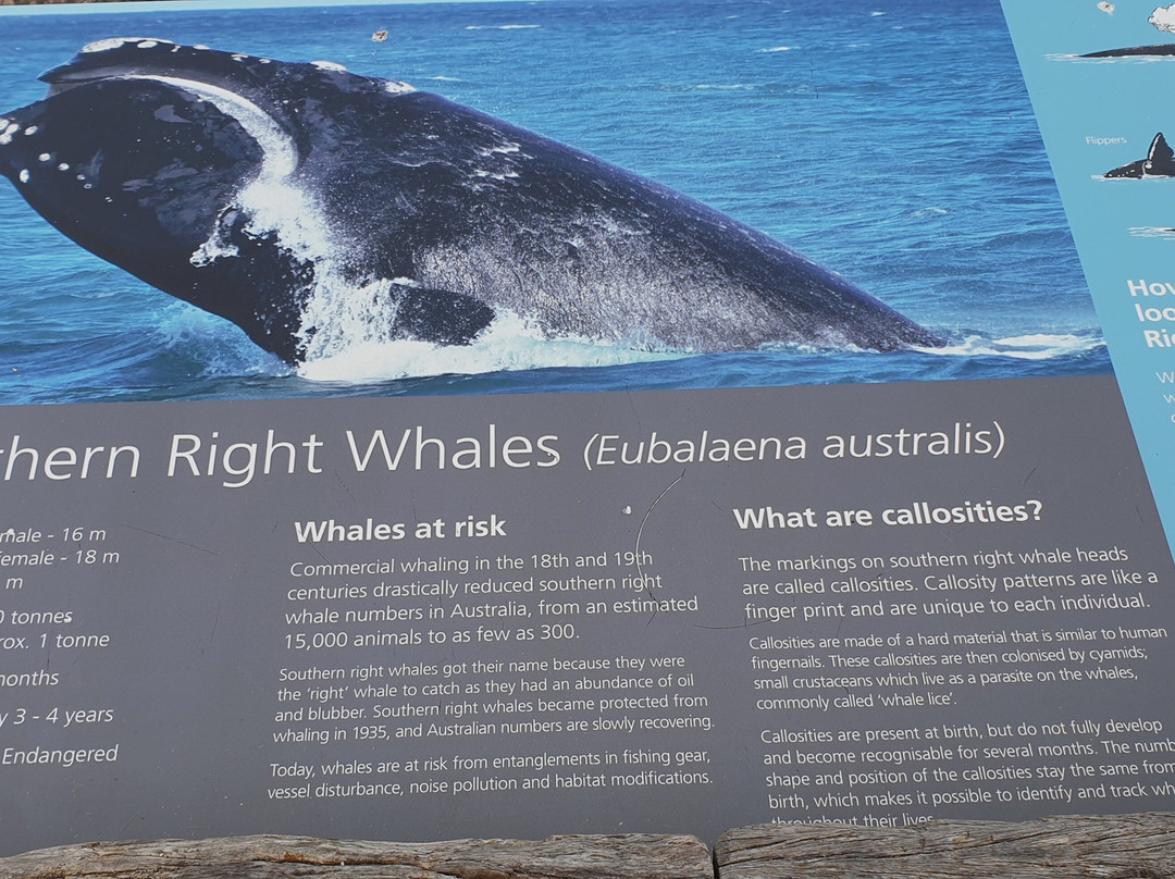 Basham Beach Conservation Park-Port Elliot必去景点