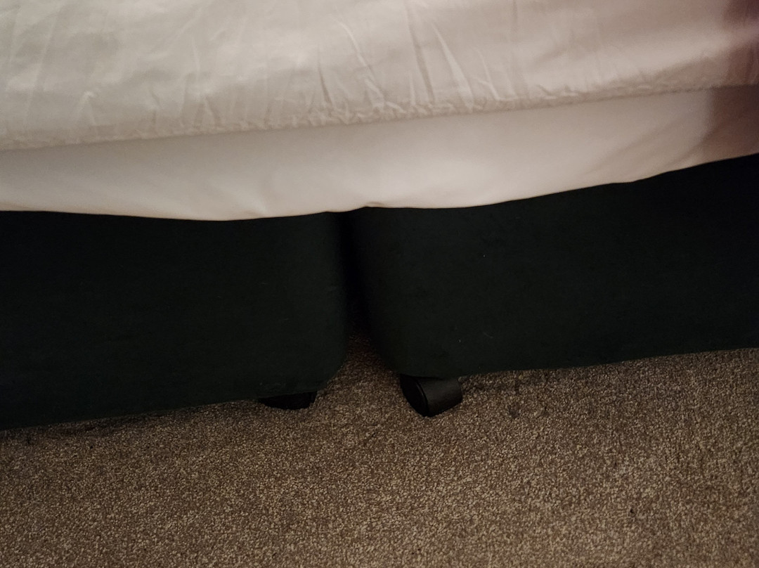 The Wyndham Hotel & Restaurant主图