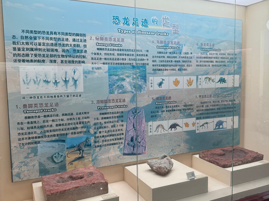 河源恐龙博物馆景点图片