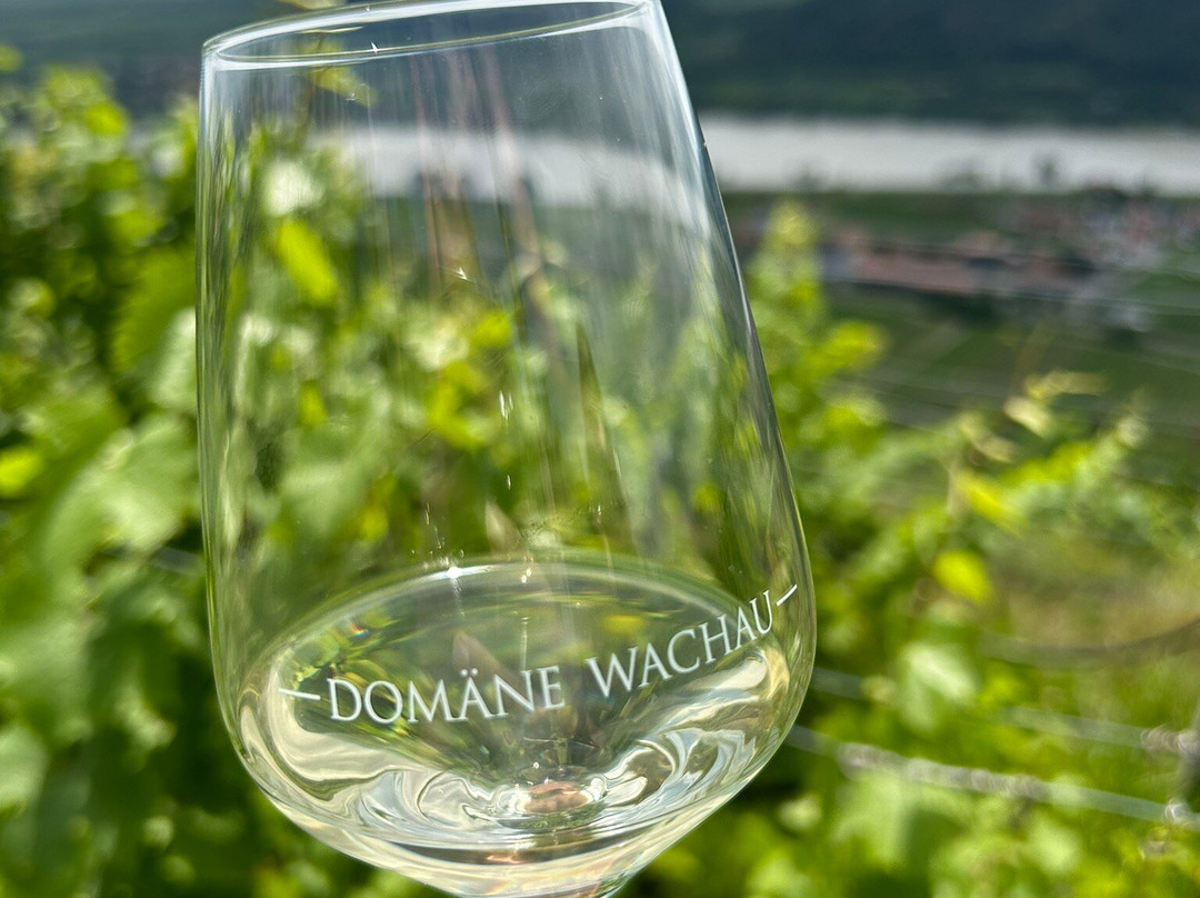 Gartenhotel & Weingut Pfeffel Durnstein主图