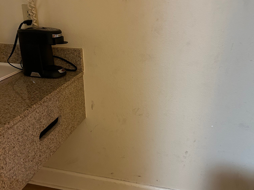 Red Roof Inn Tifton主图