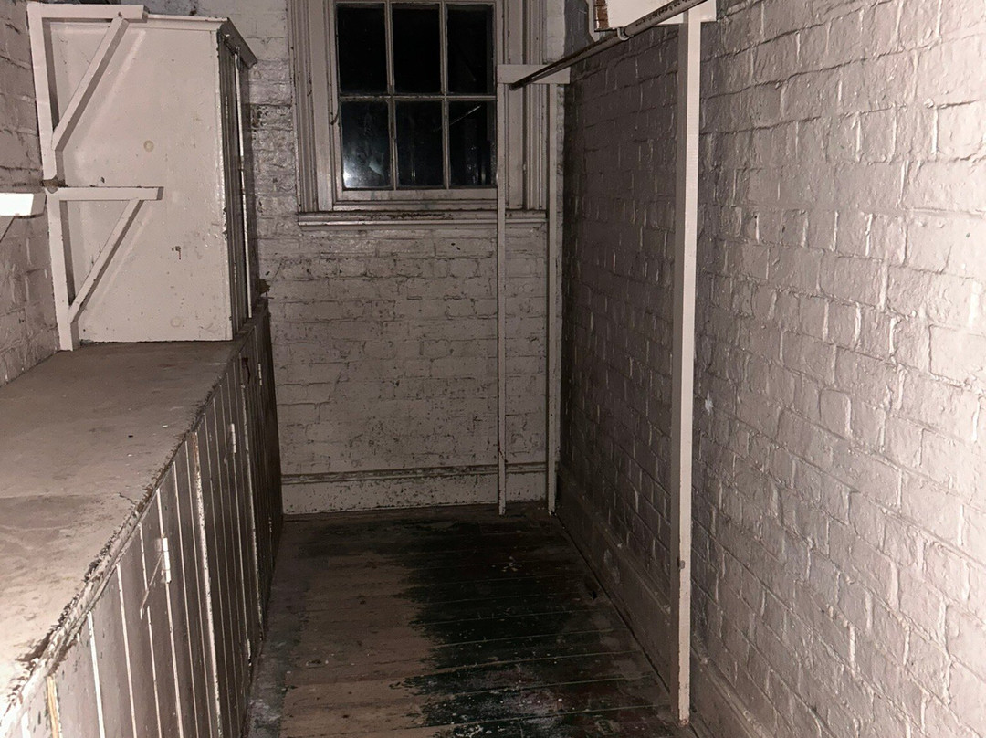 Asylum Ghost Tours-比奇沃思必去景点